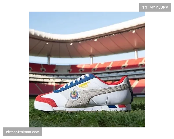 球队装备管理专业化 冰刀鞋个性化定制普遍